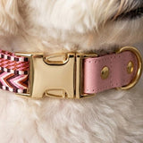 Classic Webbing Leather Dog Collar