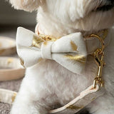 Gold Feather White Velvet
