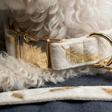 Gold Feather White Velvet