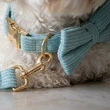Brown Corduroy Dog Harness & Collar (Personalised)