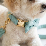 Brown Corduroy Dog Harness & Collar (Personalised)