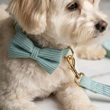 Brown Corduroy Dog Harness & Collar (Personalised)