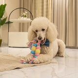 Natural Rubber Rope Chew & Teeth-Cleaning Toy