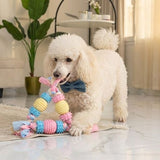 Natural Rubber Rope Chew & Teeth-Cleaning Toy