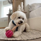 Soft Rubber Interactive Pull-Cord Ball Toy
