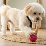 Soft Rubber Interactive Pull-Cord Ball Toy