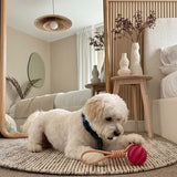 Soft Rubber Interactive Pull-Cord Ball Toy