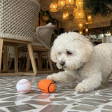Squeaky Power Sports Ball