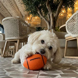Squeaky Power Sports Ball