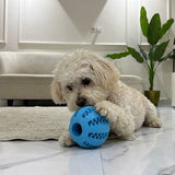 Delight Elastic Natural Rubber Teeth-Cleaning Ball