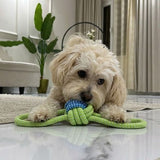Power Cotton Rope Teeth