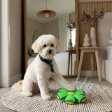 Power Flyer UFO Flat Throw Disc Ball Dog Toy