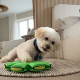 Power Flyer UFO Flat Throw Disc Ball Dog Toy