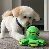 Power Flyer UFO Flat Throw Disc Ball Dog Toy