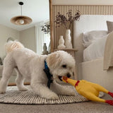 Squeaky Screaming Yellow Chicken
