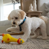 Squeaky Screaming Animals Bite-Resistant