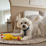 Squeaky Screaming Animals Bite-Resistant