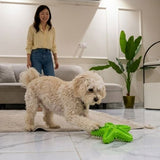 Squeaky Starfish Teeth-Cleaning Rubber Chew Toy
