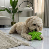 Squeaky Starfish Teeth-Cleaning Rubber Chew Toy