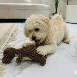 Squeaky Fleece Plush Indestructible