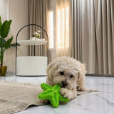 Squeaky Starfish Teeth-Cleaning Rubber Chew Toy