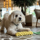 Deluxe Handknit Braided Carrot Rope Bite-Resistant Chew Toy