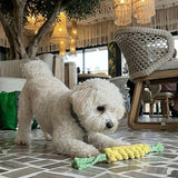 Deluxe Handknit Braided Carrot Rope Bite-Resistant Chew Toy