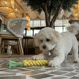 Deluxe Handknit Braided Carrot Rope Bite-Resistant Chew Toy
