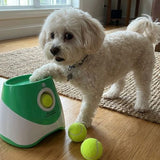 Automatic Ball Launcher - Adjustable Arc