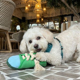 Squeaky Canvas Shoes Bite-Resistant Chew Toy