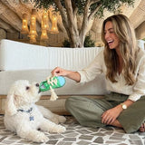 Squeaky Canvas Shoes Bite-Resistant Chew Toy