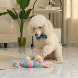 Natural Rubber Rope Chew & Teeth-Cleaning Toy