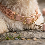 Pastel Braided Rope Handknit Dog Collar