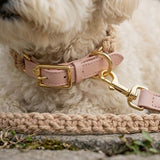 Pastel Braided Rope Handknit Dog Collar