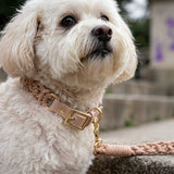 Pastel Braided Rope Handknit Dog Collar