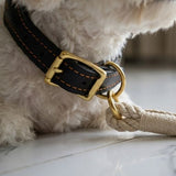 Deluxe Genuine Leather & Hemp Rope Dog Collar