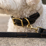 Deluxe Genuine Leather & Hemp Rope Dog Collar