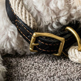 Deluxe Genuine Leather & Hemp Rope Dog Collar