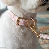 Deluxe Neutral Pastel Cow Leather Dog Collar