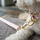 Deluxe Neutral Pastel Cow Leather Dog Collar