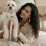Gold Feather White Velvet