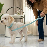 Royal Pastel PVC Dog Collar & Lead Set