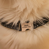 Nylon Reflective Bell