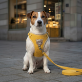 Nylon Harness - Design