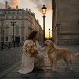 Adjustable Teddy Comfort Dog Harness Bundle