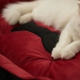 Classic Square Plush Border Nest Pet Bed