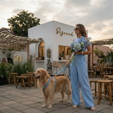 Premier Dust Blue Flanelette