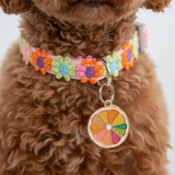 Lace Flower Collar - Bell Detail