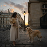 Adjustable Teddy Comfort Dog Harness Bundle