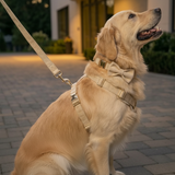 Beige Suade Detachable Bowtie